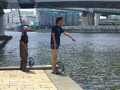 住吉川河口～下流調査と中流調査