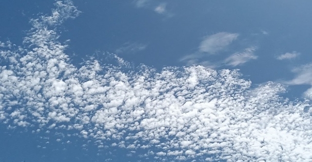 秋の空　雲の様子を確認　宇品の視察