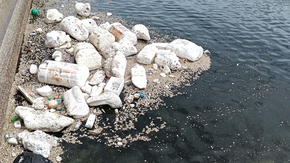 極地や海外の状況について　海ごみミーティング 