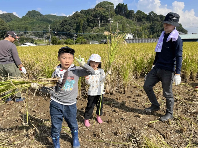 稲刈り体験会