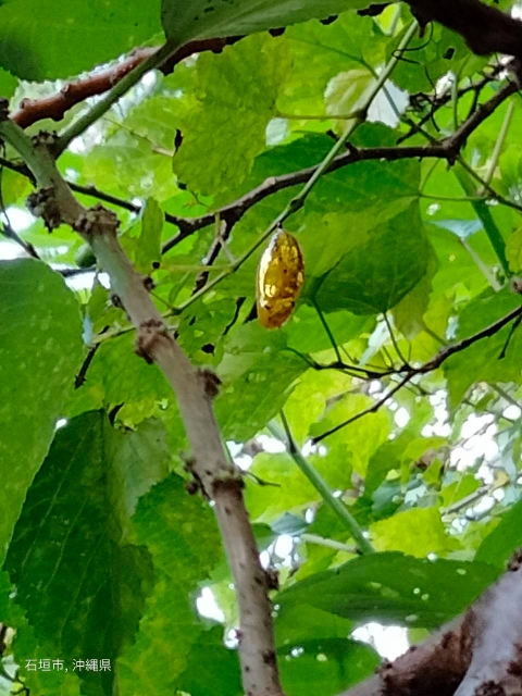 バンナ公園探索
