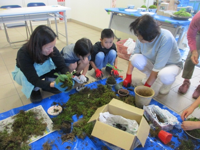 苔玉づくり