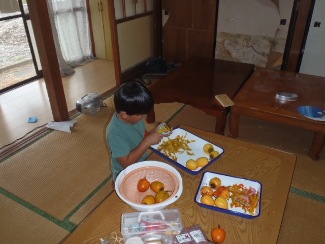 干し柿づくりと田んぼの観察