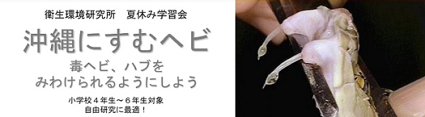 habu202408uruma.jpg