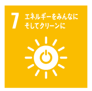 SDG-7.png