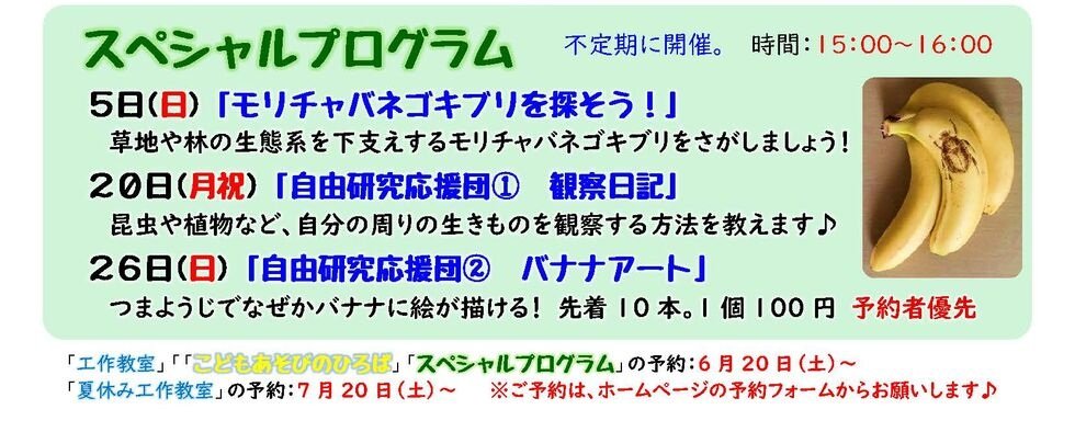SPonlykirara202607.jpg