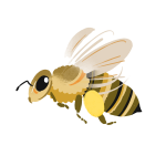bee_02s.png