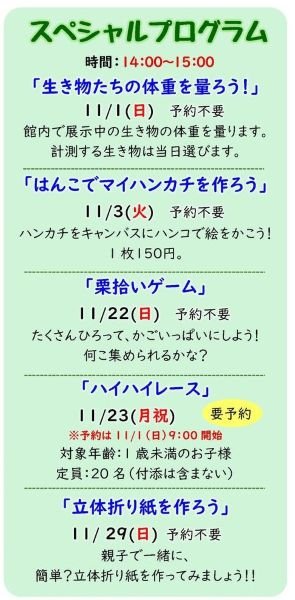 kirara202611sp1.jpg