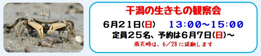 kirarahigata202606.jpg