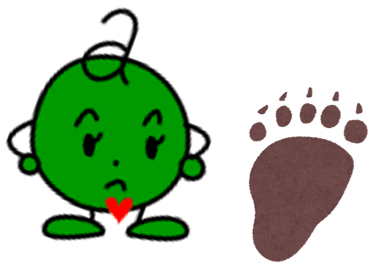 kumaashiato.png