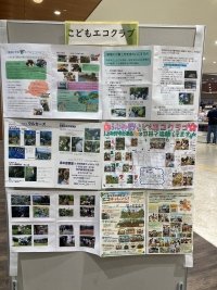 saitama_2026_07.jpg