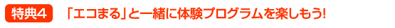 （４）「エコまる」と一緒に体験プログラムを楽しもう！