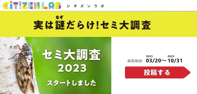 rabsemi2023.jpg